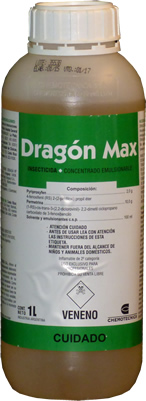 Dragon max